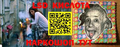 прущие грибы Краснокаменск