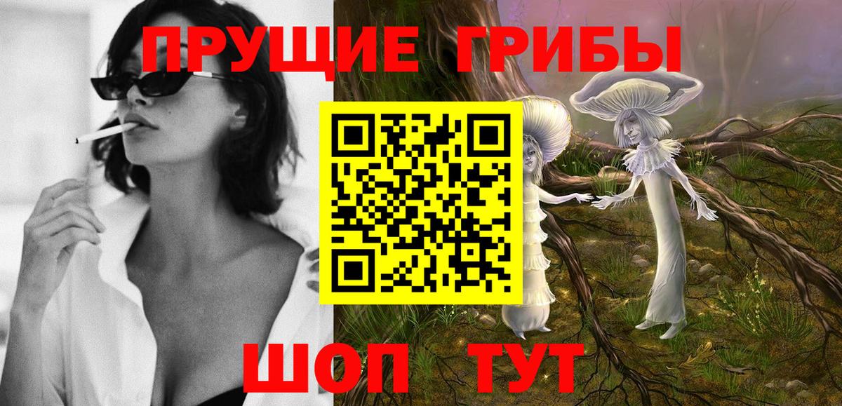 Камышин  Псилоцибиновые грибы Cubensis  что такое наркотик  Вход с VPN 